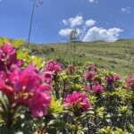 Trek journée Luchon