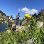 Lys des Pyrénées,Lac de Baciver, randonnée , Espagne