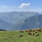 Plateau Luchon randonnée