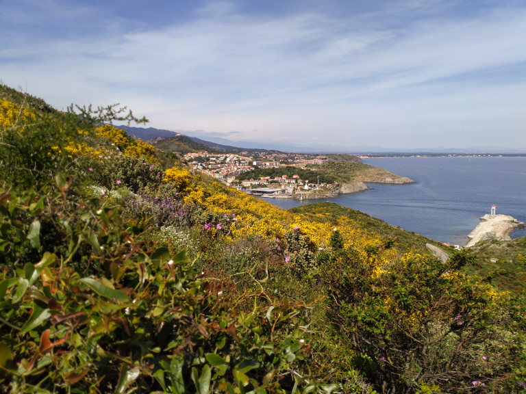 Entre mer et montagne Collioure - Cadaquès